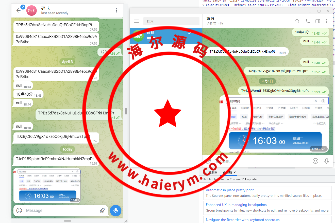 假飞机系统/钱包地址自动生成/安卓苹果PC端/假飞机telegram源码